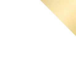 Armadio 100x215h cm 2 ante moderno bianco oro Glammy 2