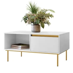 Tavolino da salotto 100x50cm 1 anta bianco oro Praga