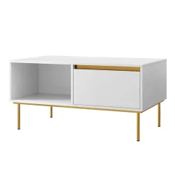 Tavolino da salotto 100x50cm 1 anta bianco oro Praga