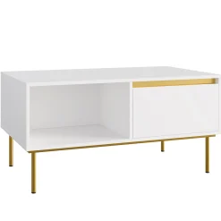 Tavolino da salotto 100x50cm 1 anta bianco oro Praga